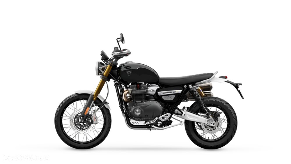 Triumph Scrambler - 22