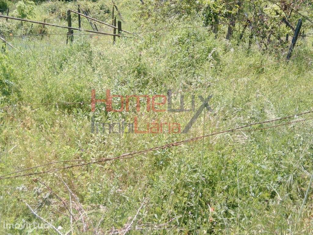Terreno para Venda - Grande imagem: 5/8