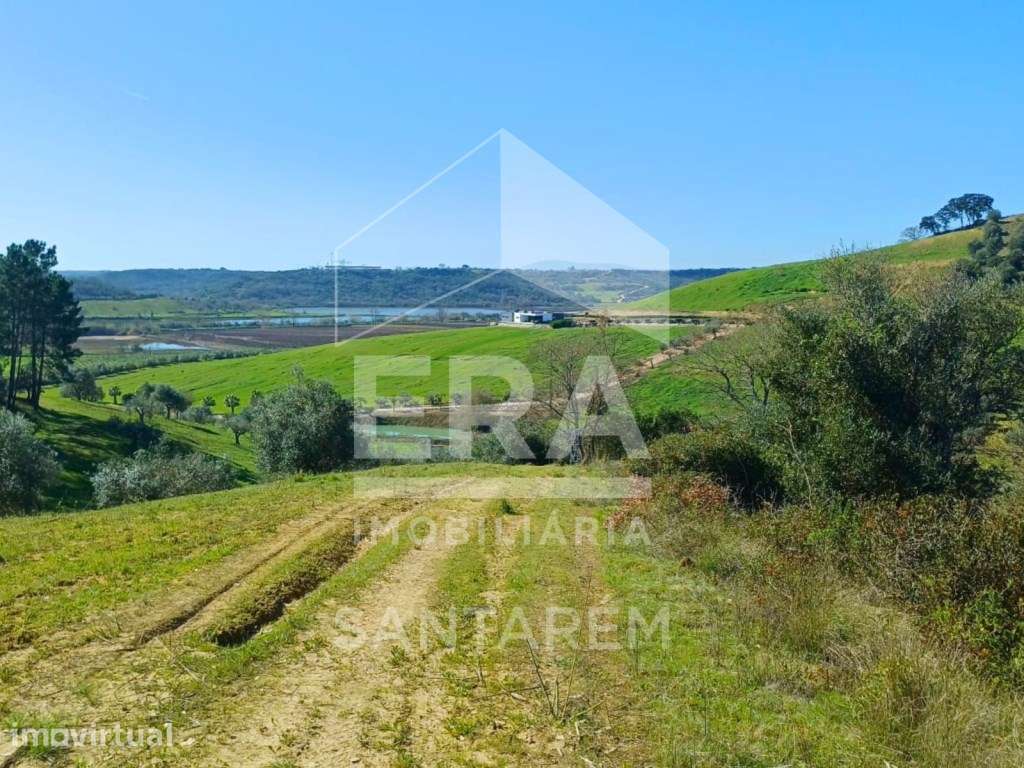 Terreno Rústico com 2 hectares - Grande imagem: 5/9