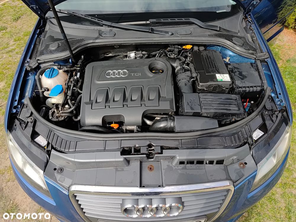 Audi A3 Sportback 2.0 TDI DPF Ambiente - 8