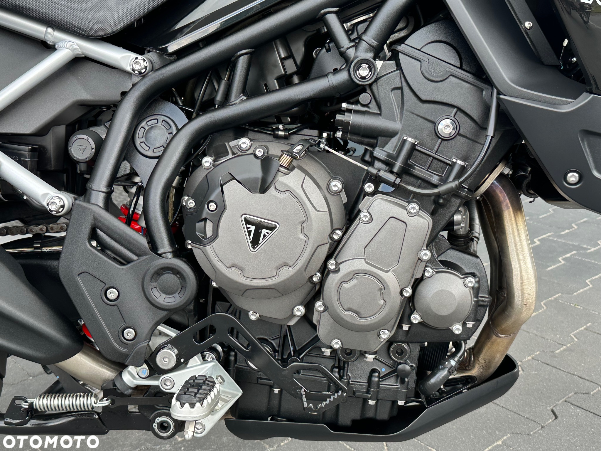 Triumph Tiger - 11