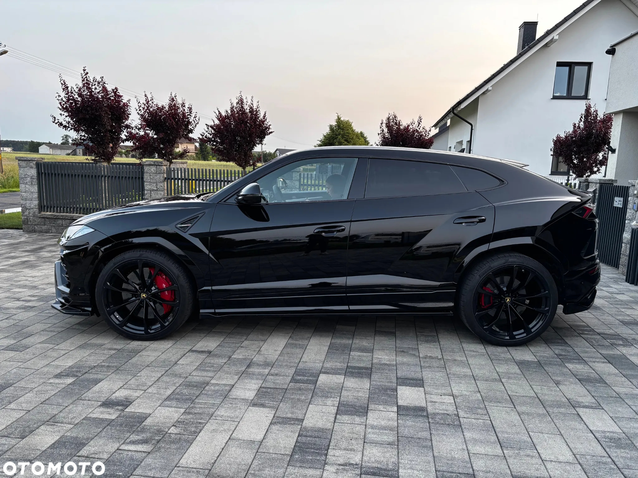 Lamborghini Urus Standard - 2