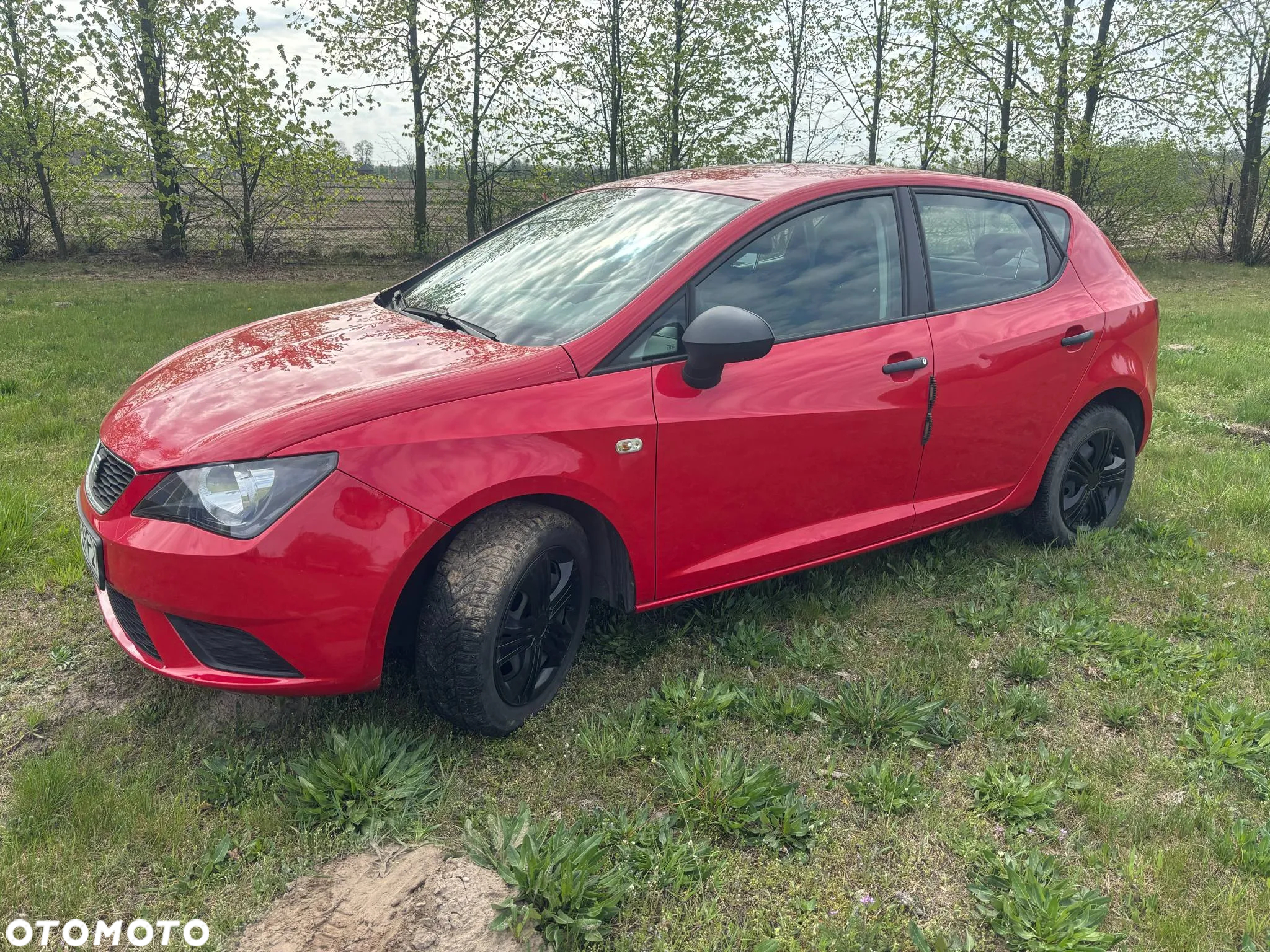 Seat Ibiza - 4