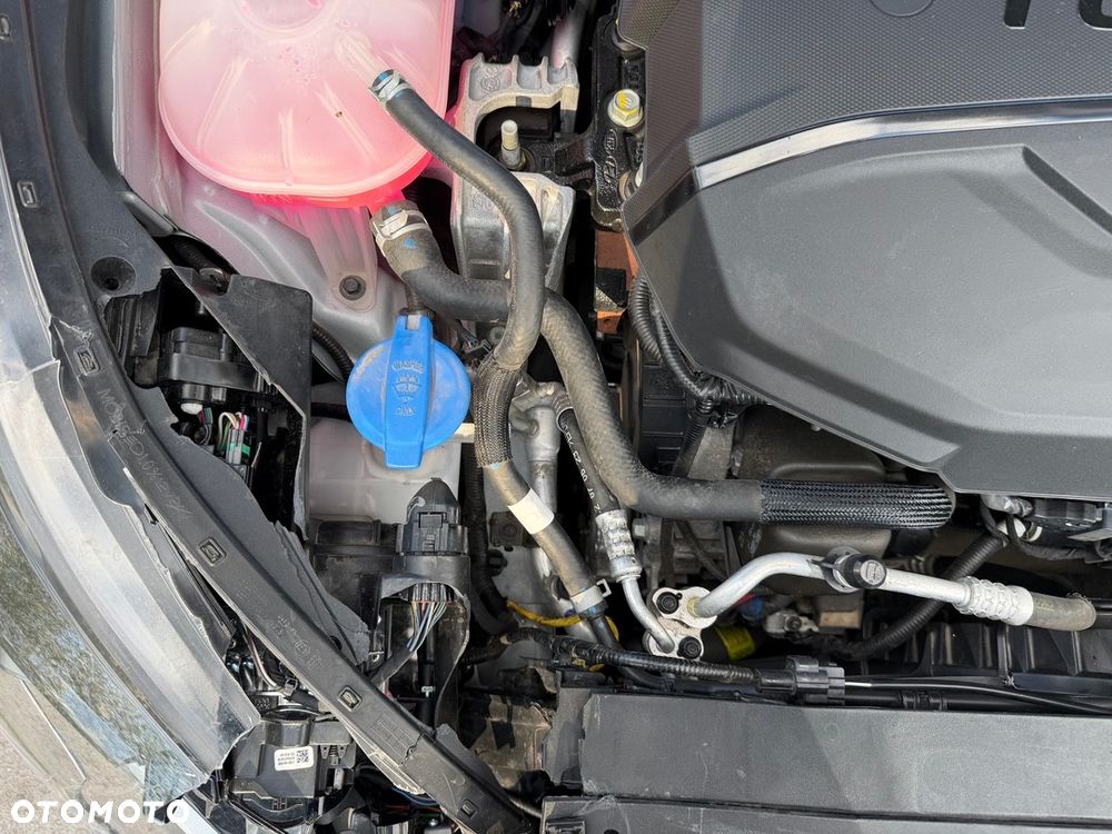 Kia Ceed 1.6 CRDi mHEV Business Line DCT - 21