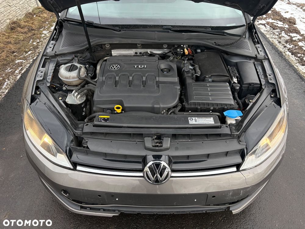 Volkswagen Golf 1.6 TDI BlueMotion Technology Cup - 10