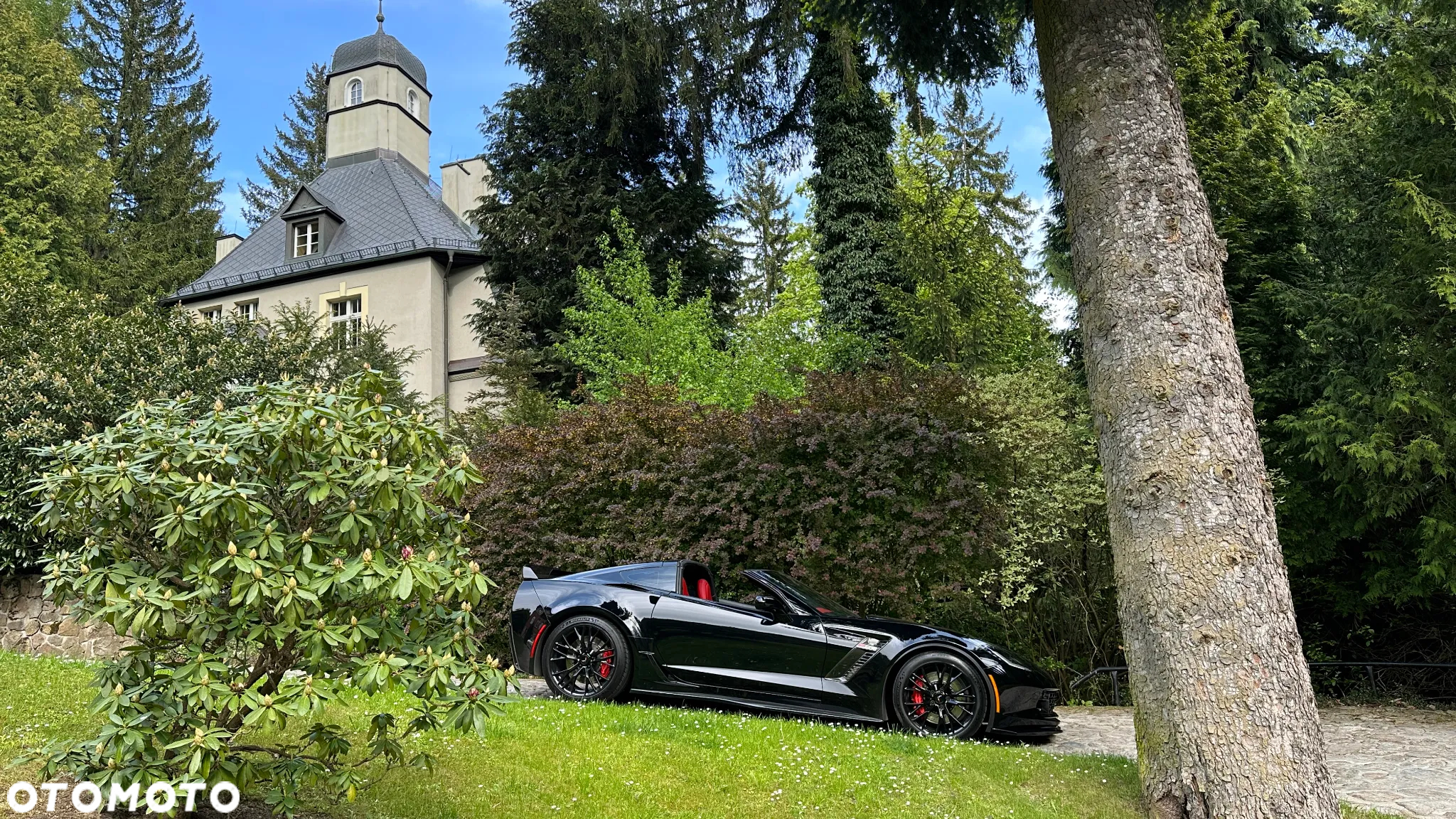 Chevrolet Corvette - 14