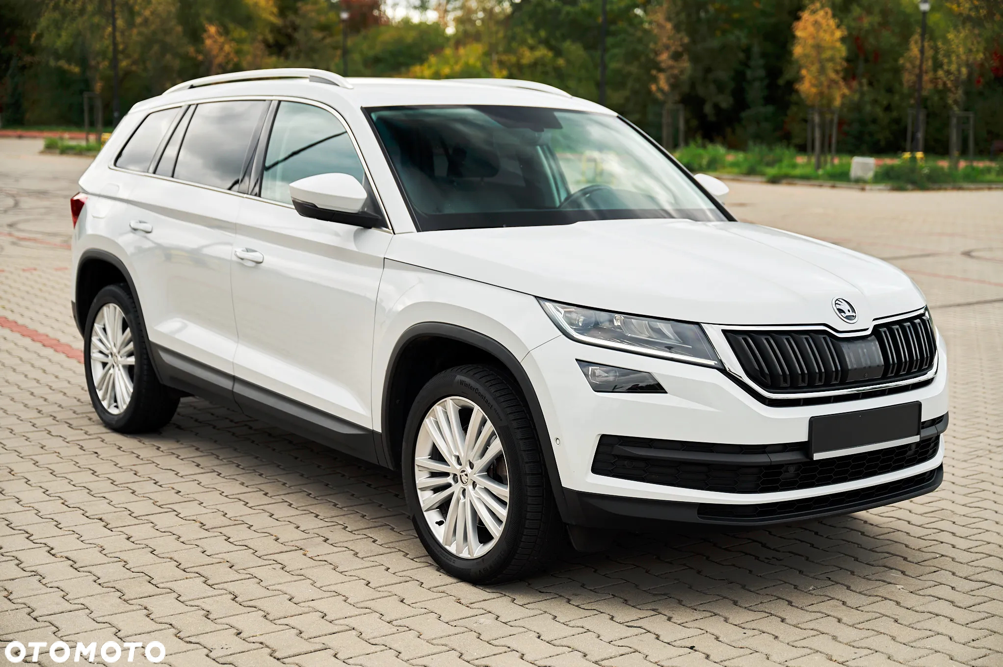 Skoda Kodiaq 2.0 TDI 4x4 Business DSG - 13