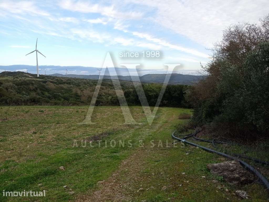 Terreno rústico - ARRANHÓ - ARRUDA DOS VINHOS | LEILÃO ELETRÓNICO |... - Grande imagem: 5/8