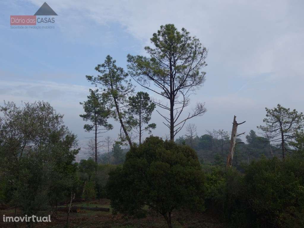 Lote de Terreno - Santa Clara (Coimbra) Portugal - Grande imagem: 5/7