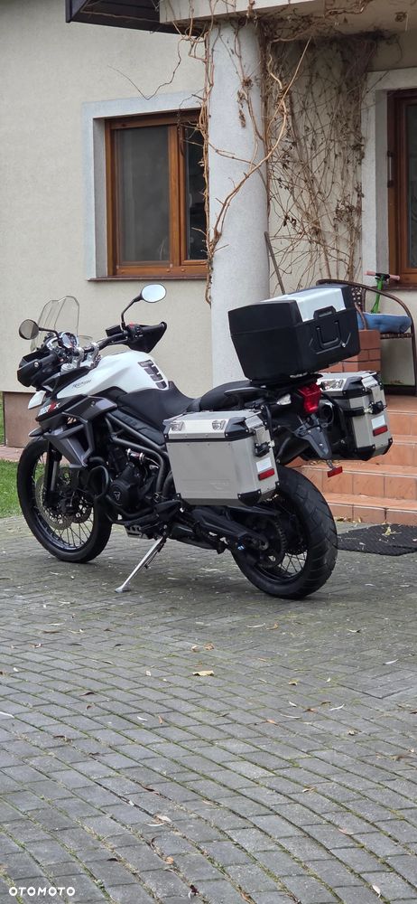 Triumph Tiger - 9