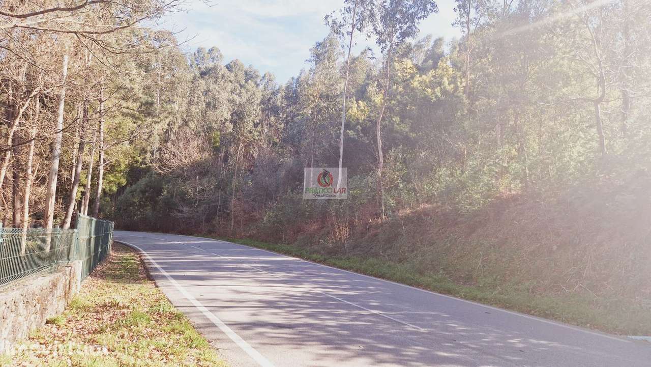 Terreno com viabilidade de construção em Cedrim- Tanque - Grande imagem: 3/10
