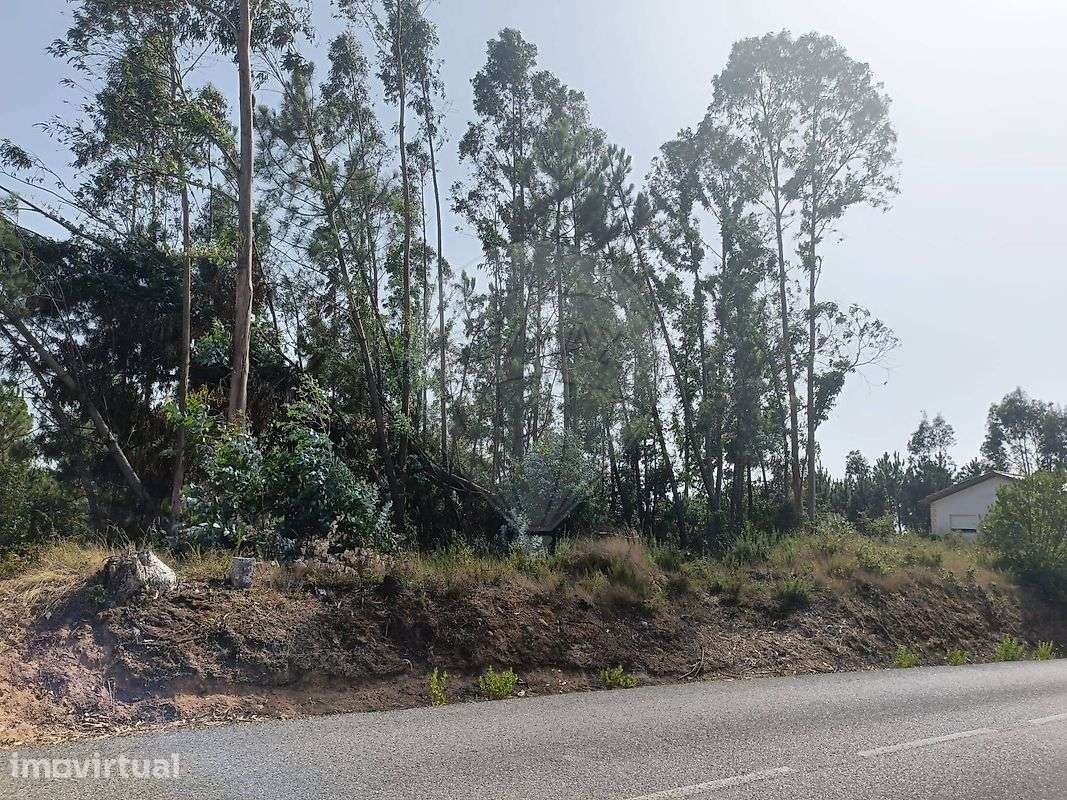 Terreno  para venda - Grande imagem: 3/10