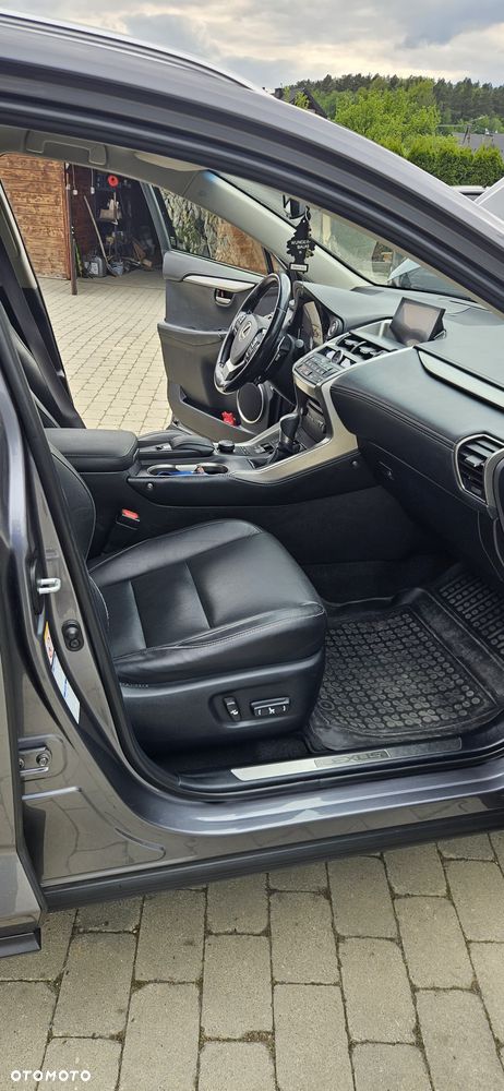 Lexus NX - 17