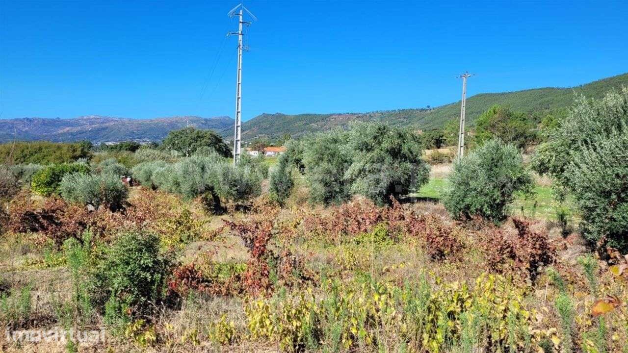Terreno / Fundão, Cortiçada - Grande imagem: 3/3