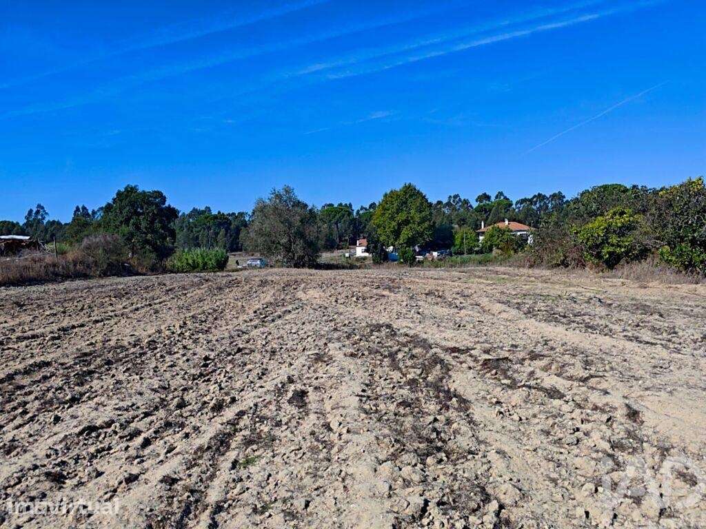 Terreno em Coruche, Fajarda e Erra - Grande imagem: 2/18