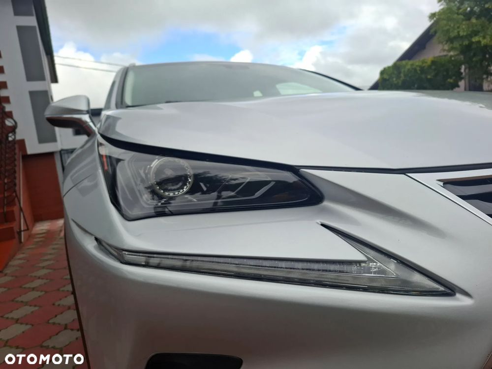Lexus NX - 10