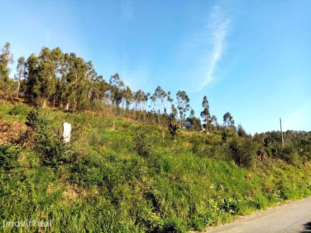 Terreno em Refóios do Lima. - Grande imagem: 5/6