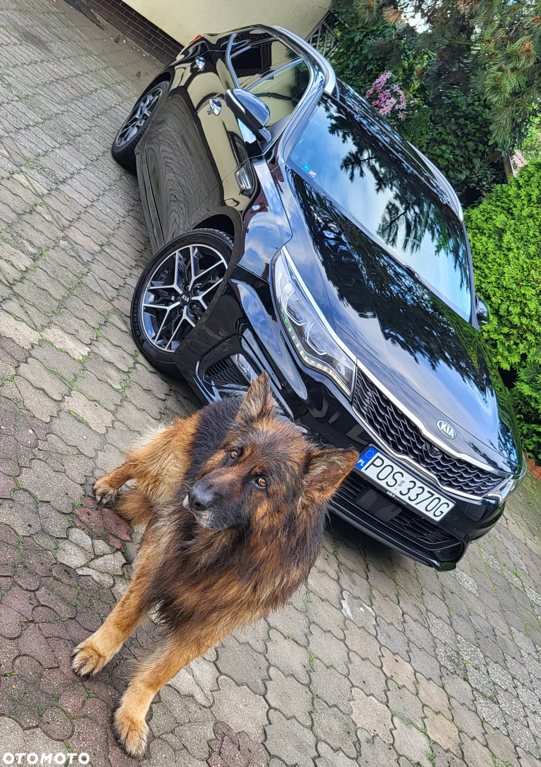 Kia Optima Sportswagon 1.6 CRDI DCT GT Line - 5