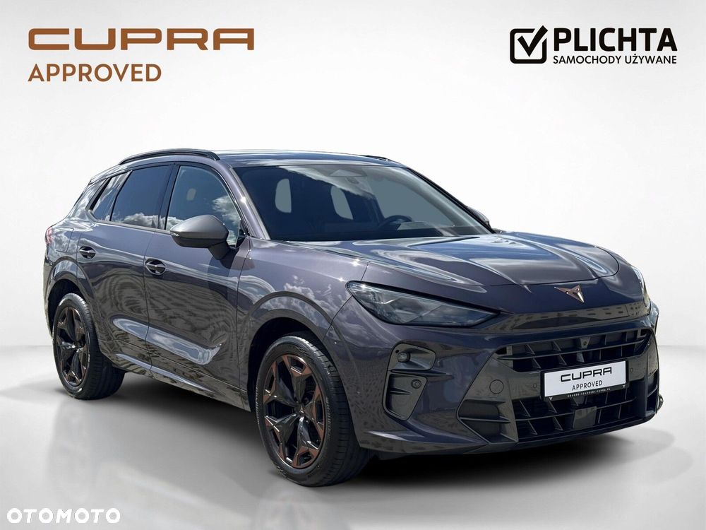 Cupra Terramar - 8
