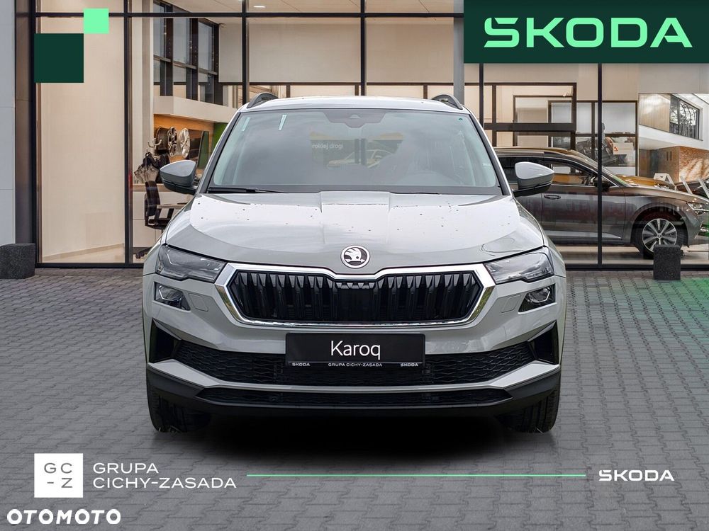 Skoda Karoq - 9