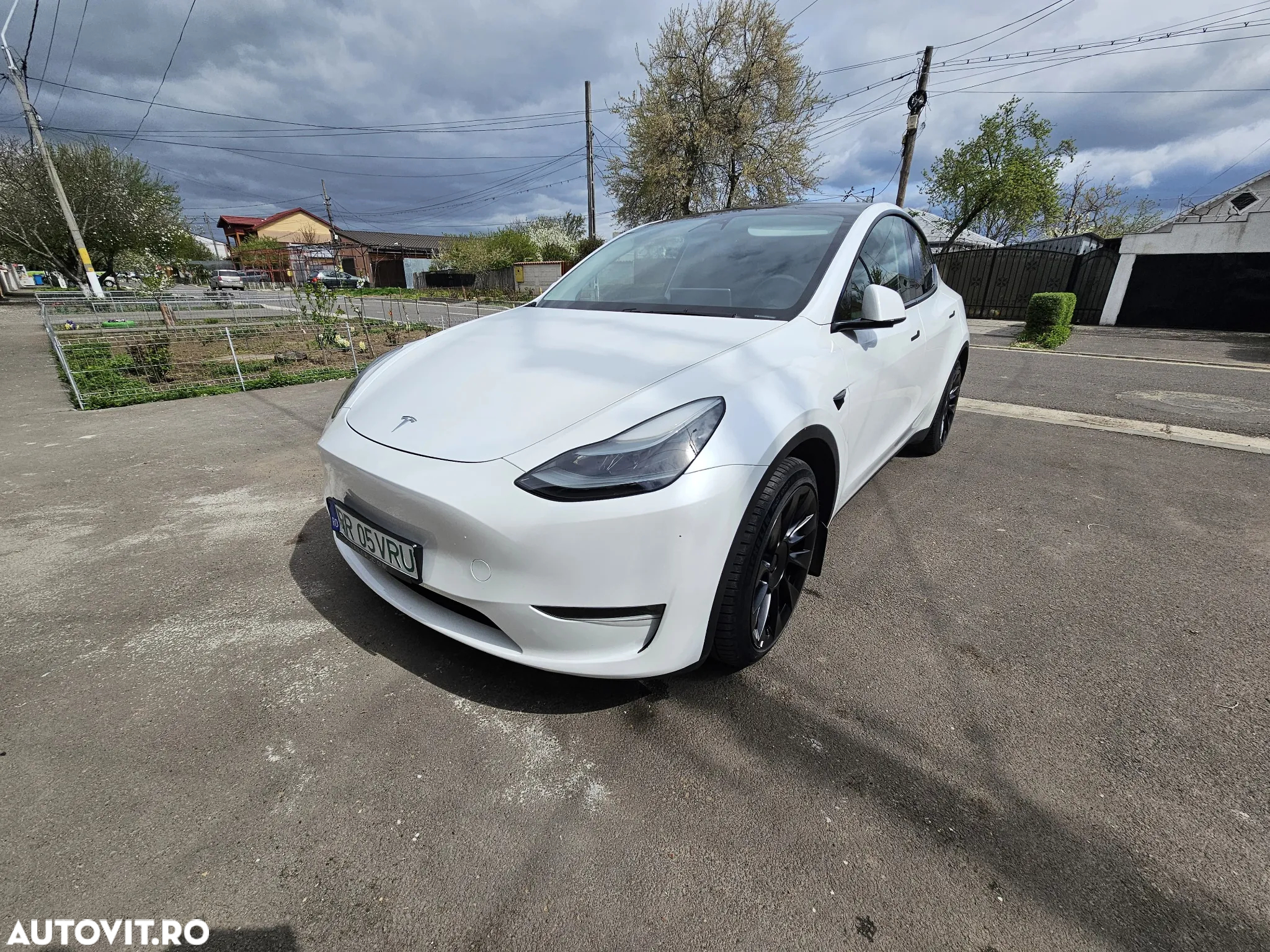 Tesla Model Y Long Range Dual Motor AWD - 25