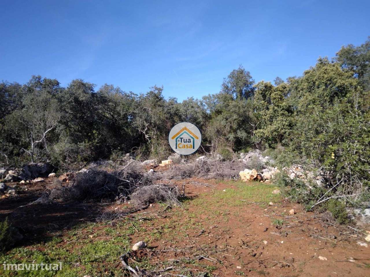 Terreno Rústico com Furo nos Arredores de São Brás de Alportel - Grande imagem: 2/16