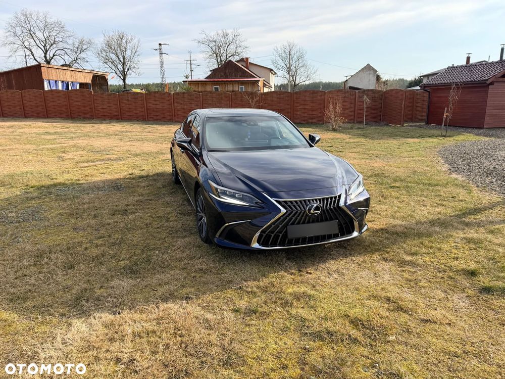 Lexus ES 300h Omotenashi - 8