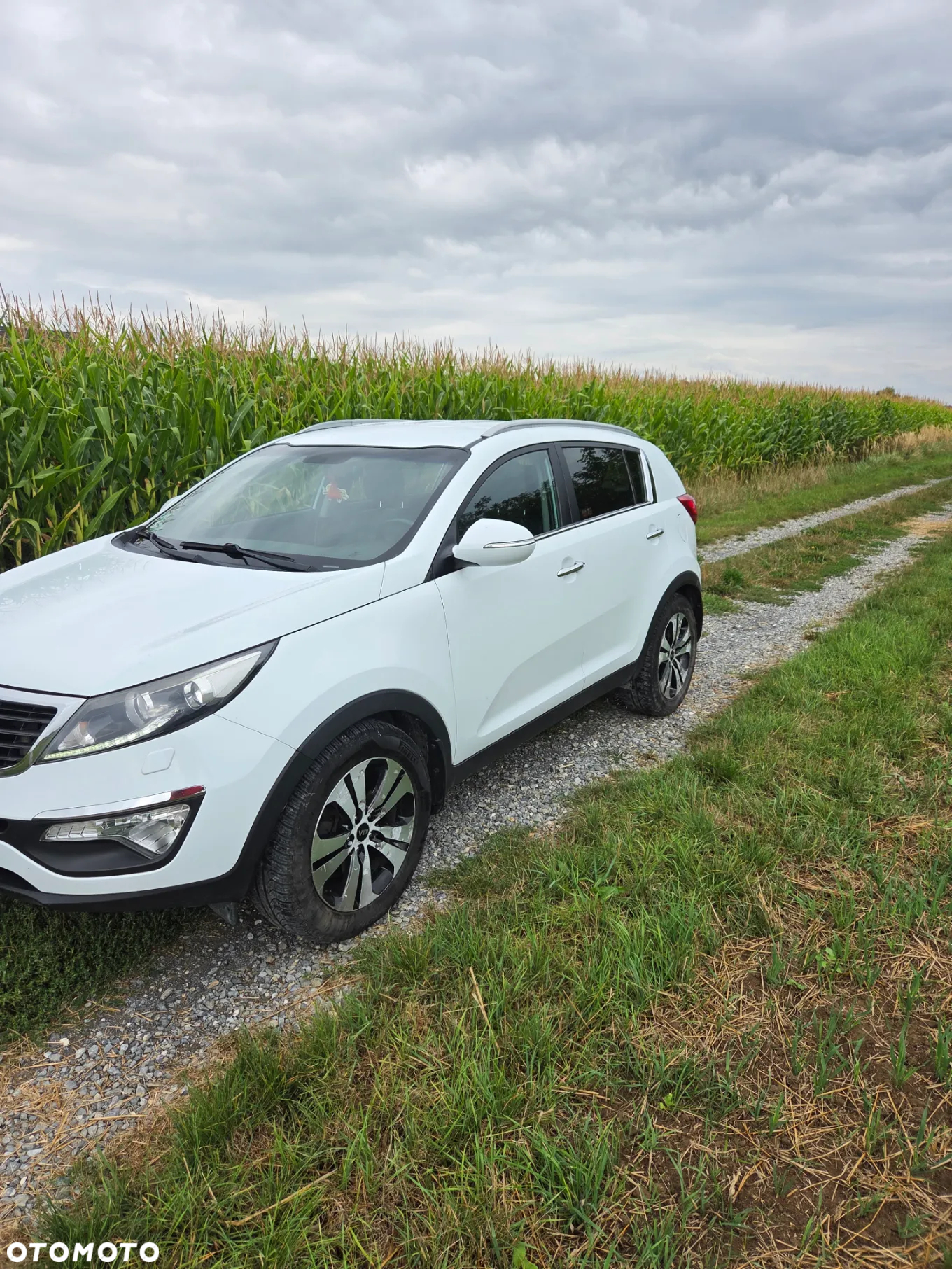 Kia Sportage 2.0 CRDI XL 2WD - 11