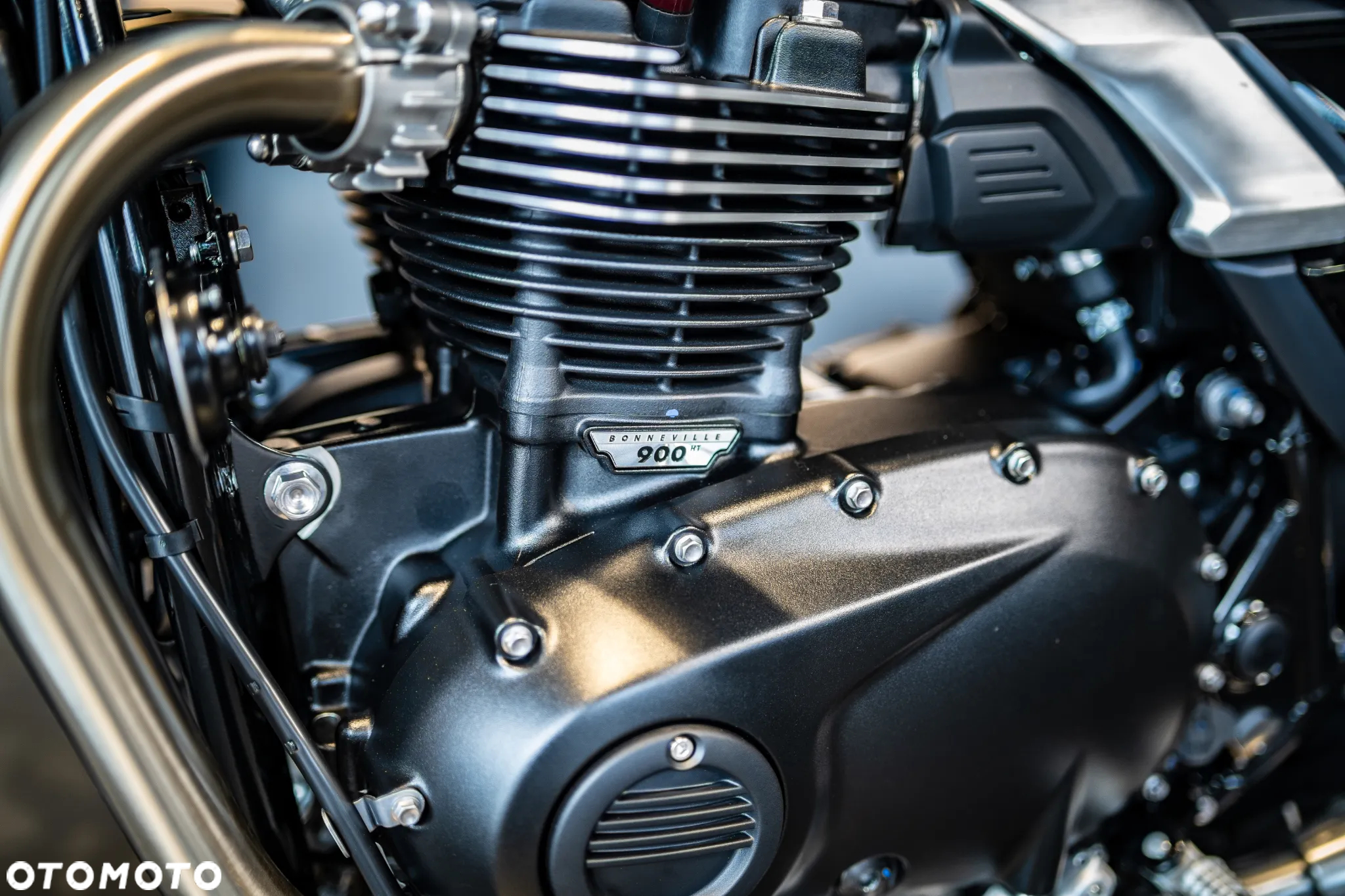 Triumph Speed Twin - 14