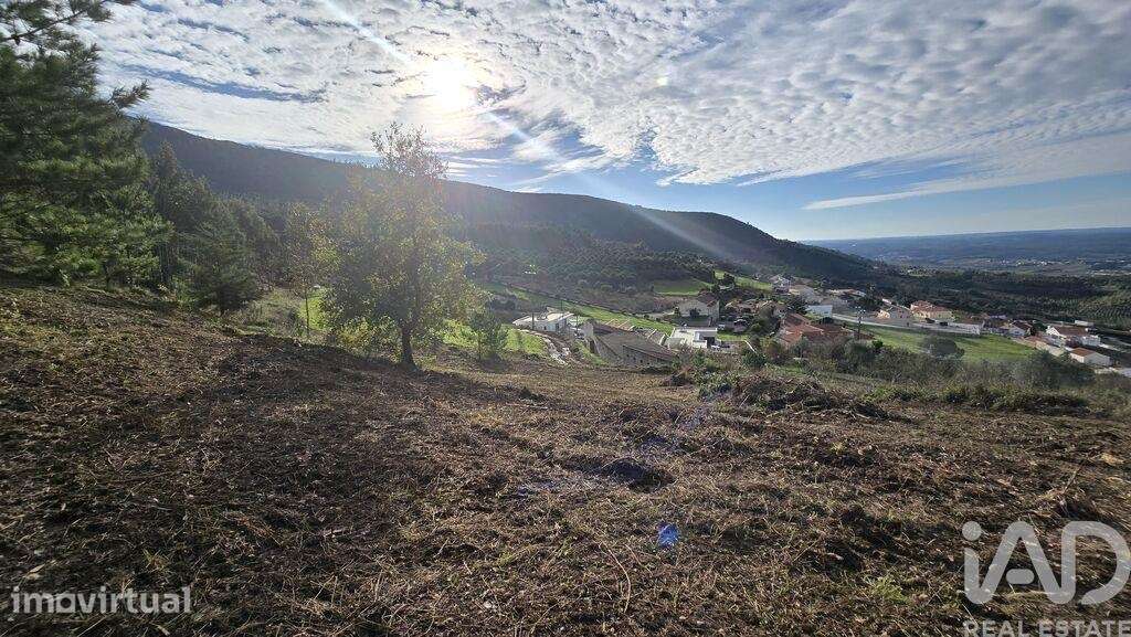 Terreno para construção em Lamas e Cercal - Grande imagem: 2/39