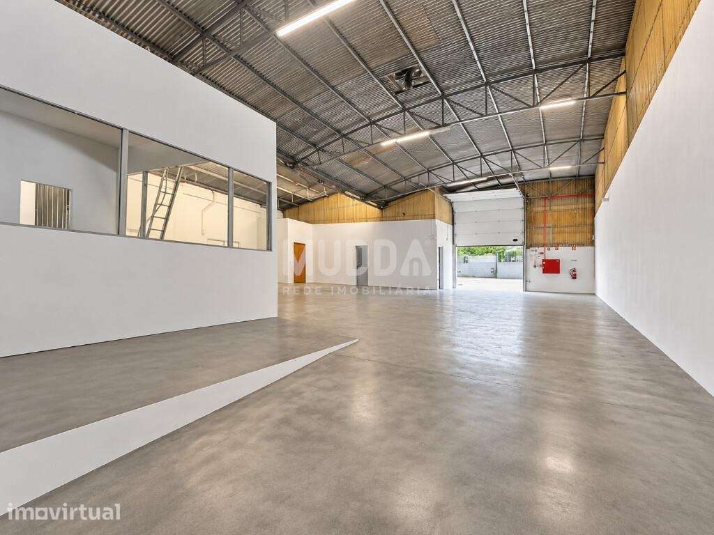 Armazém para Arrendamento | Zona Industrial de Cortegaça - Grande imagem: 3/13