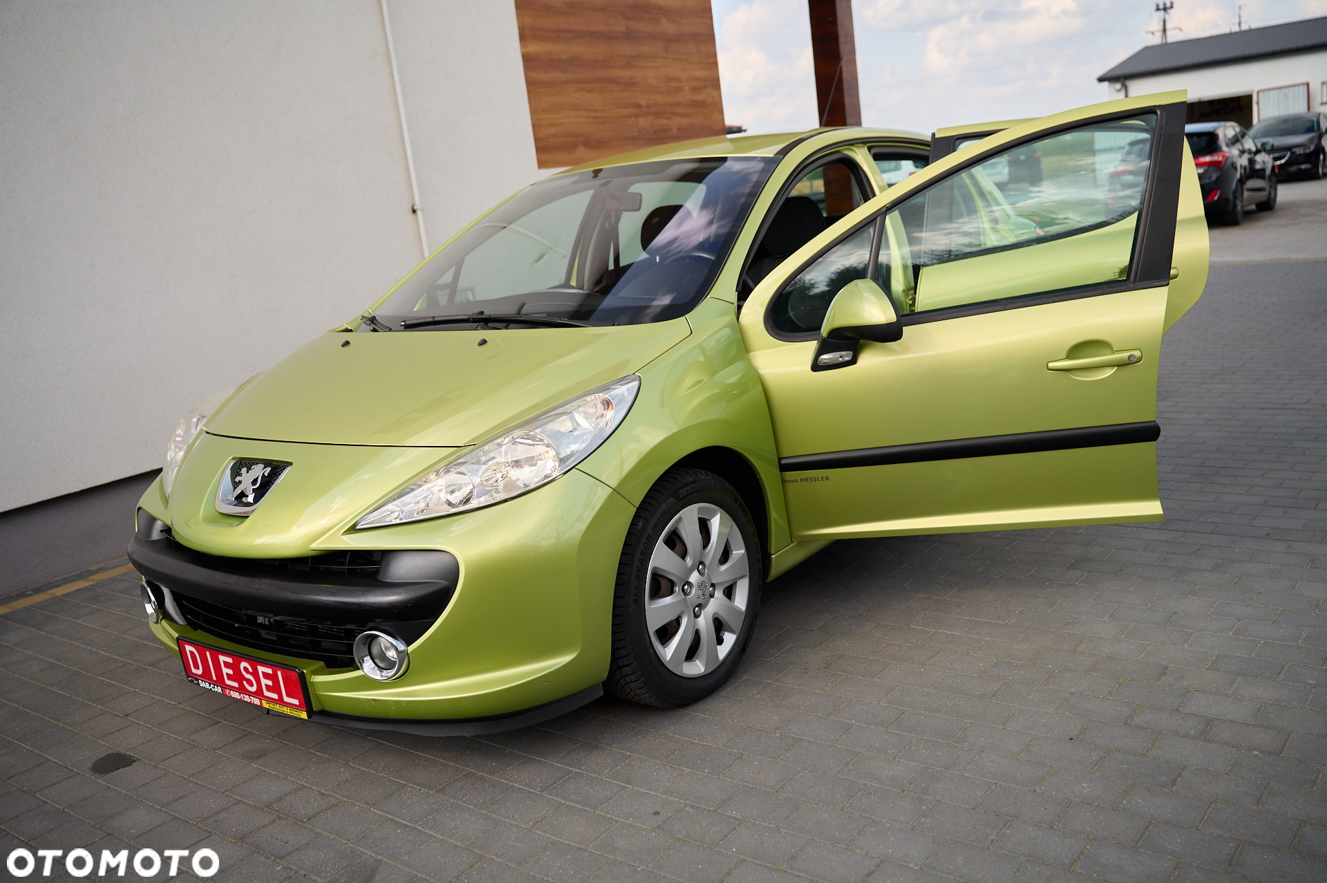 Peugeot 207 - 18