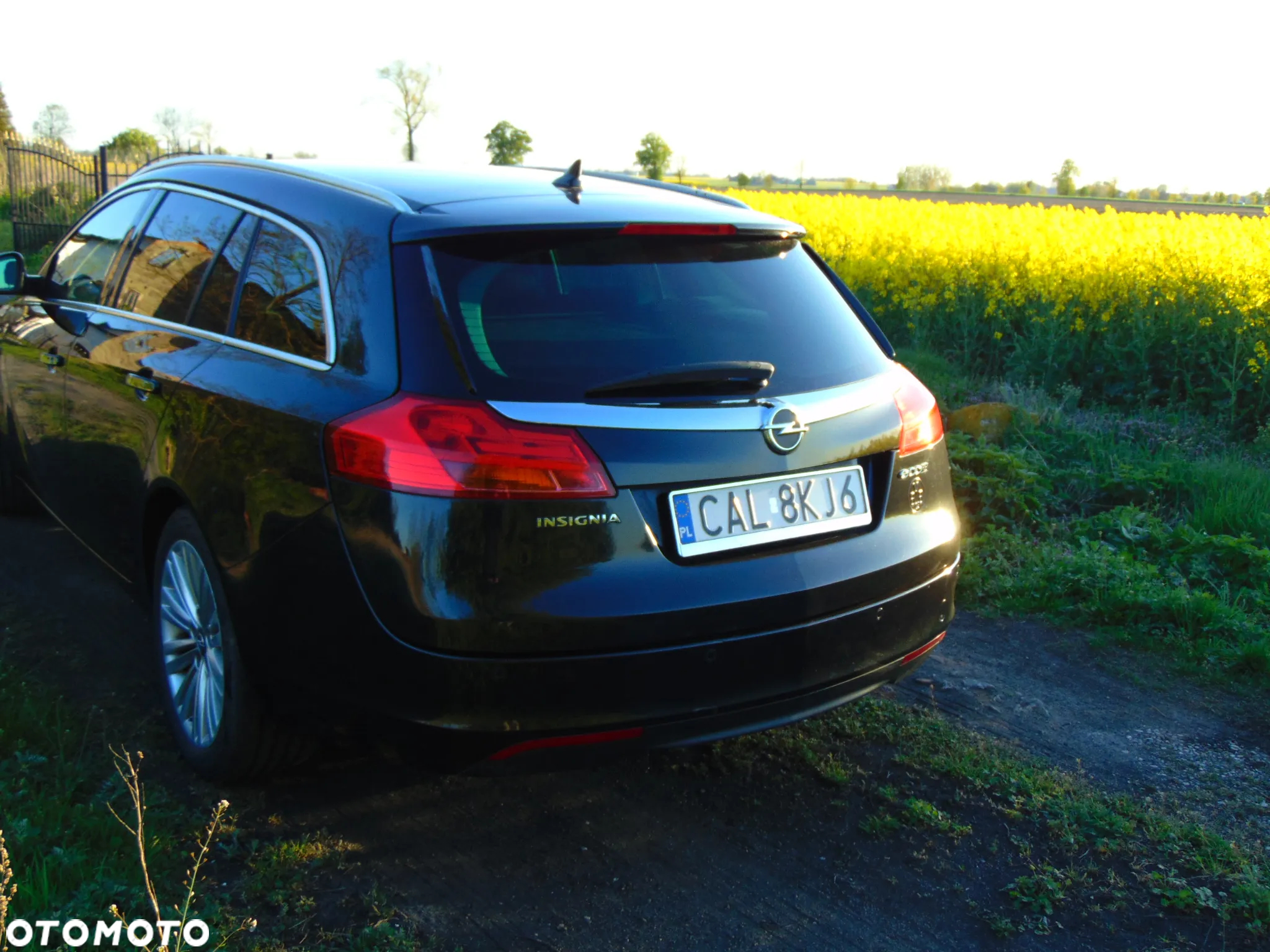 Opel Insignia 2.0 CDTI Sports Tourer ecoFLEX Cosmo - 7