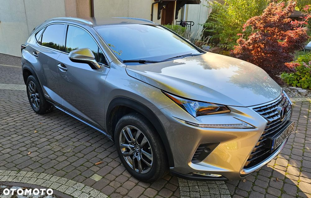 Lexus NX 300h Prestige AWD - 5