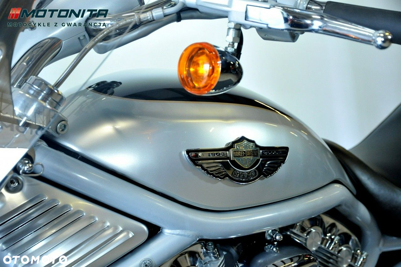 Harley-Davidson Softail V-Rod - 11