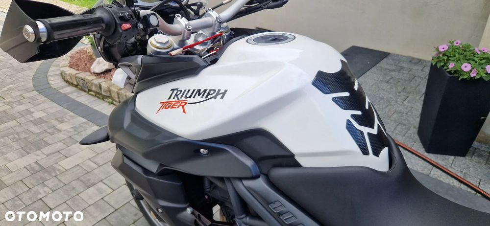 Triumph Tiger - 8