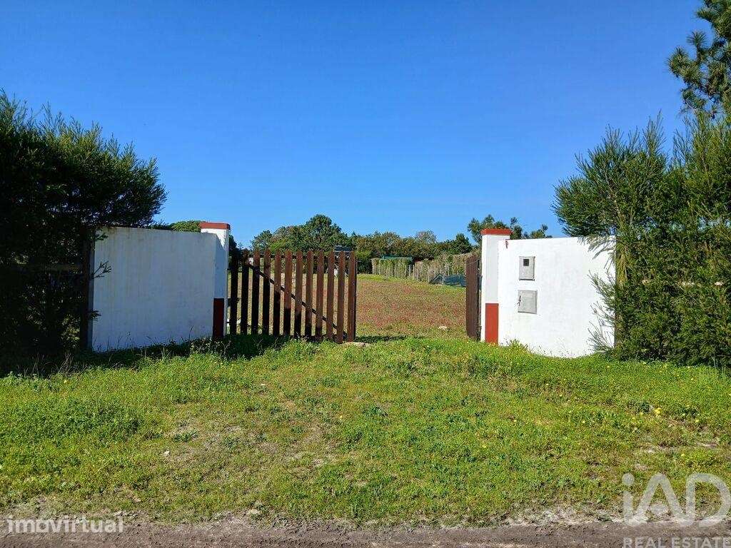 Terreno Agrícola em Vila Nova de Milfontes - Grande imagem: 2/11