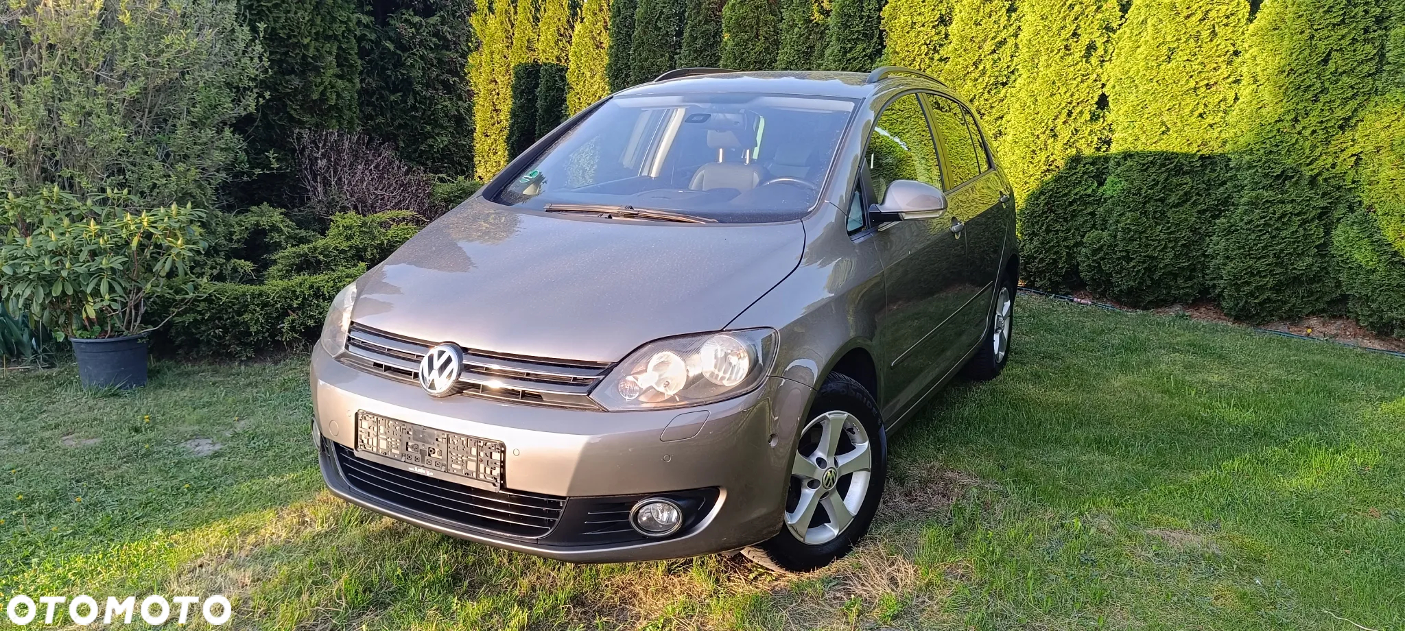 Volkswagen Golf Plus 1.2 TSI Team - 2