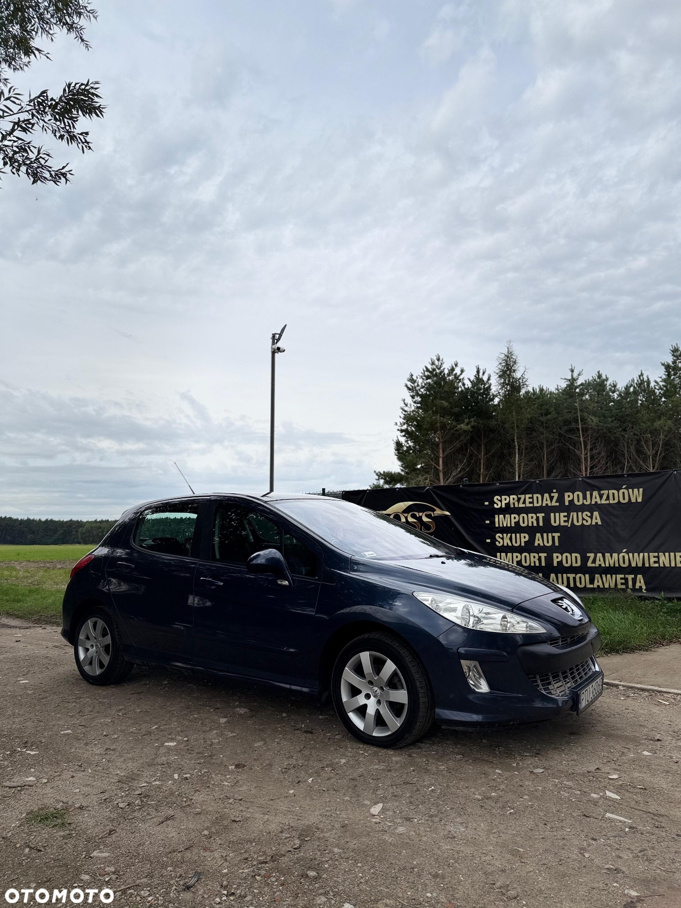 Peugeot 308 1.6 Premium Plus - 14