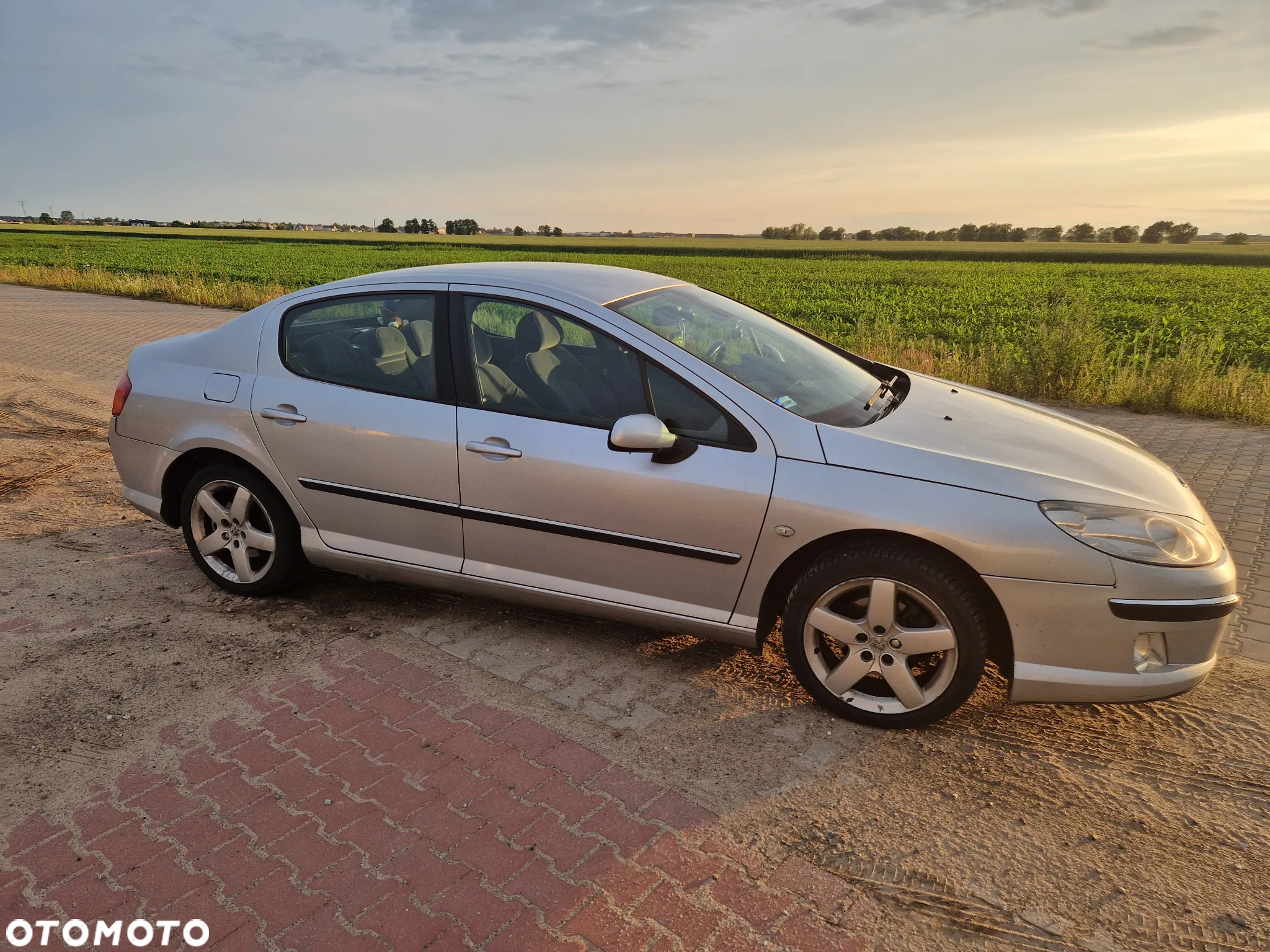 Peugeot 407 2.0 HDI Intense - 2