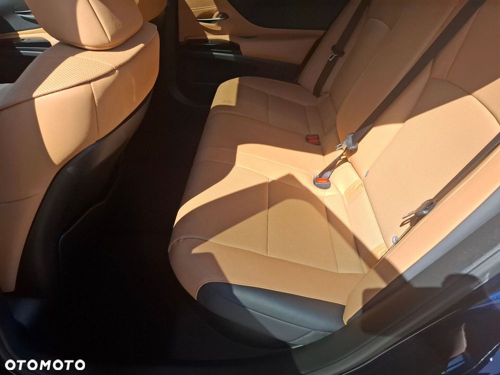 Lexus ES 300h Business Edition - 19