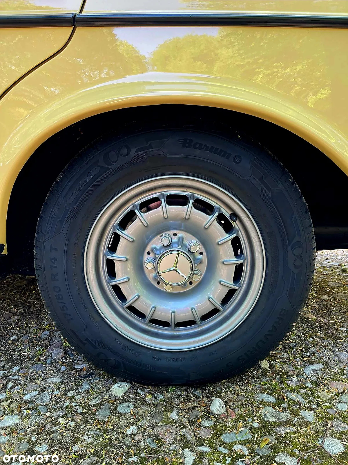Mercedes-Benz W123 - 15
