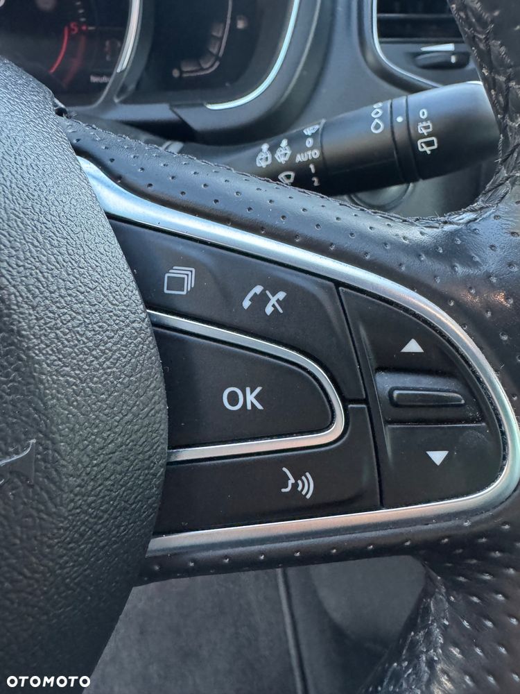 Renault Scenic - 25