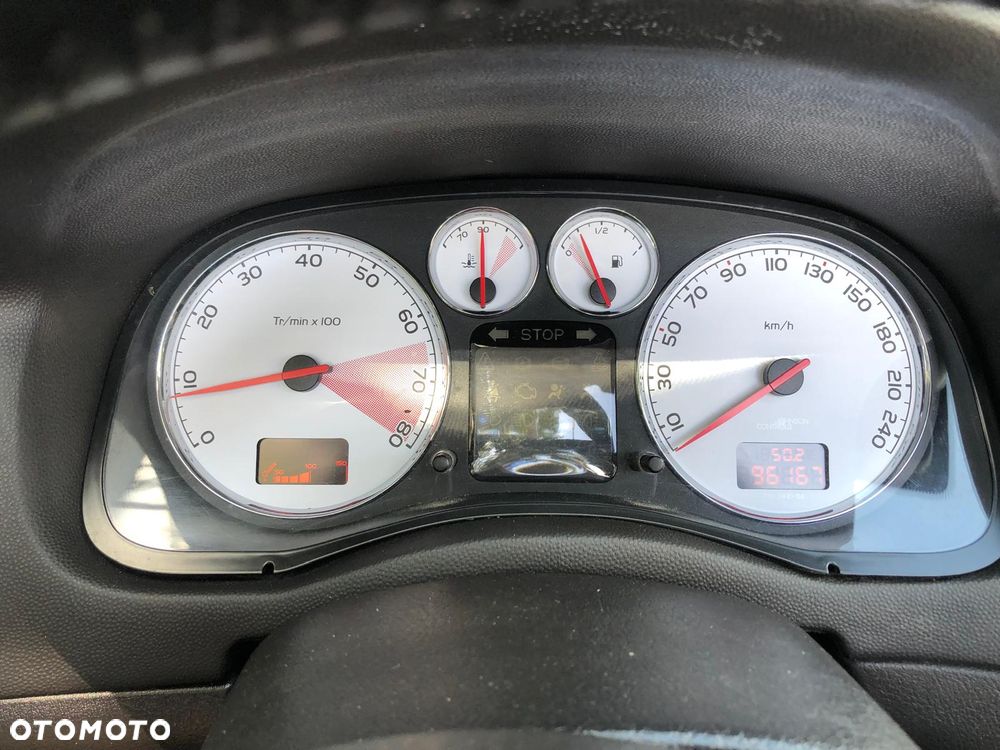 Peugeot 307 CC - 13