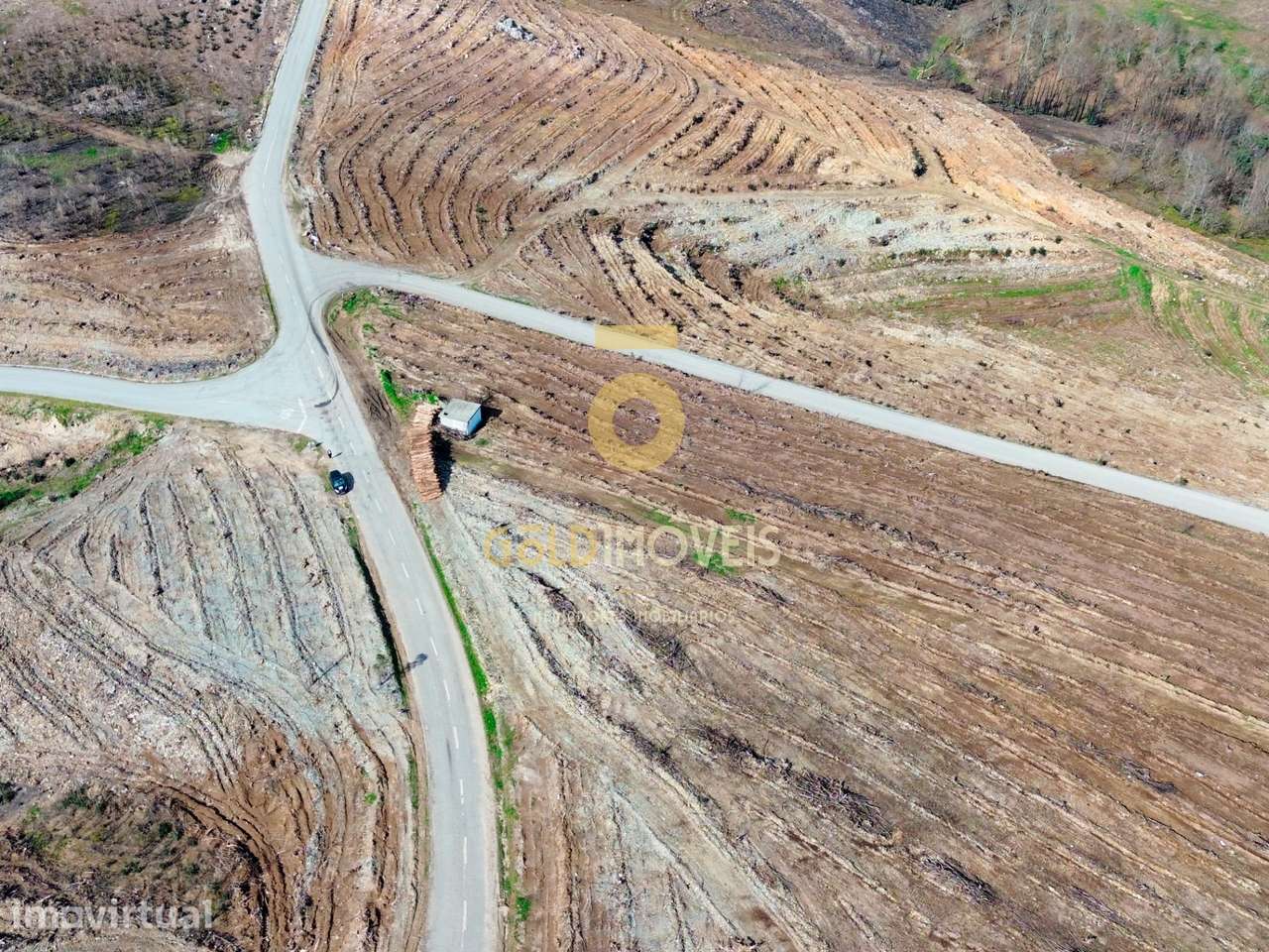 Terreno Florestal em Real - Castelo de Paiva - Grande imagem: 4/6