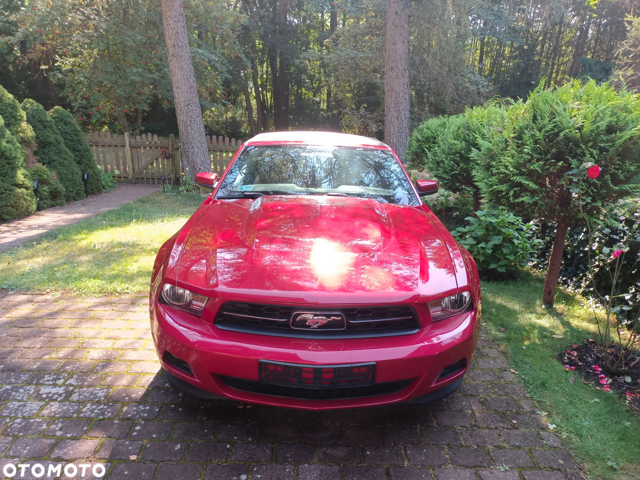 Ford Mustang 3.7 V6 Premium - 2