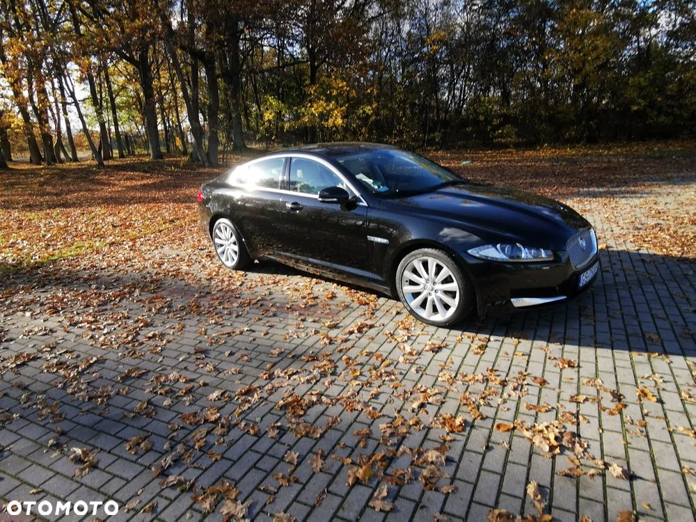 Jaguar XF 3.0 V6 D Premium Luxury - 5
