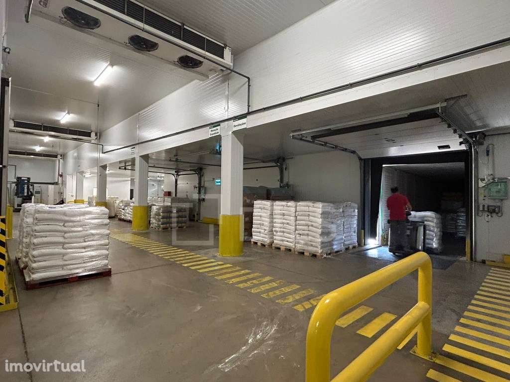Armazém para arrendamento - Vila Nova da Rainha, Azambuja - Grande imagem: 5/20