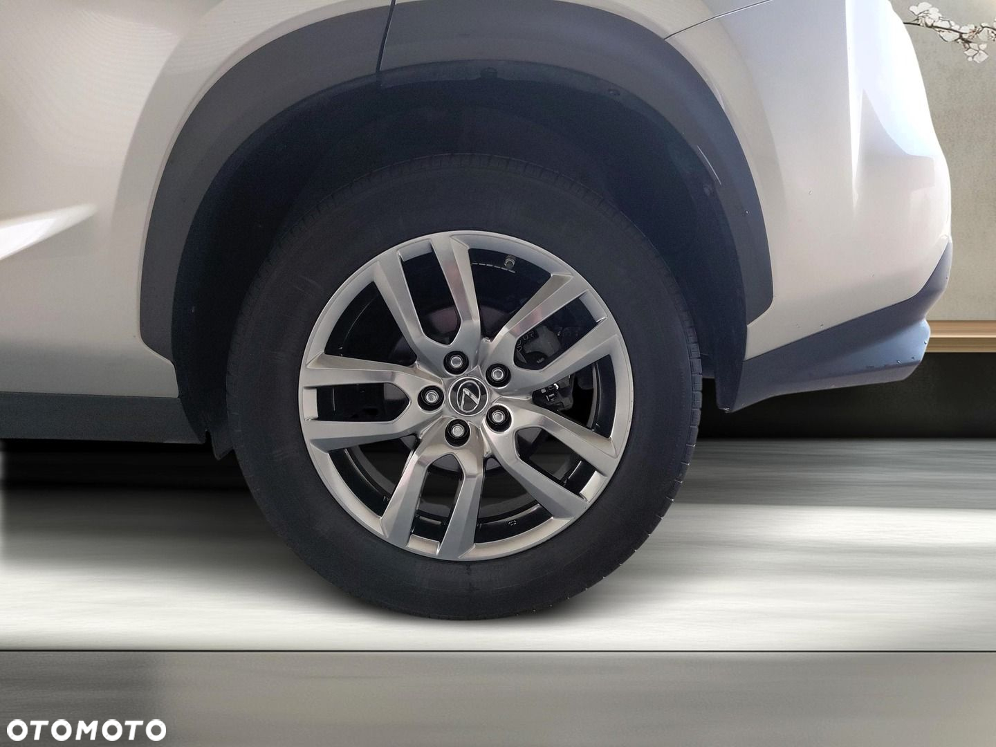 Lexus NX 300 Optimum AWD - 22