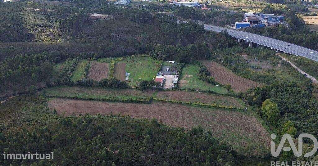 Terreno Agrícola em Alfena - Grande imagem: 4/7